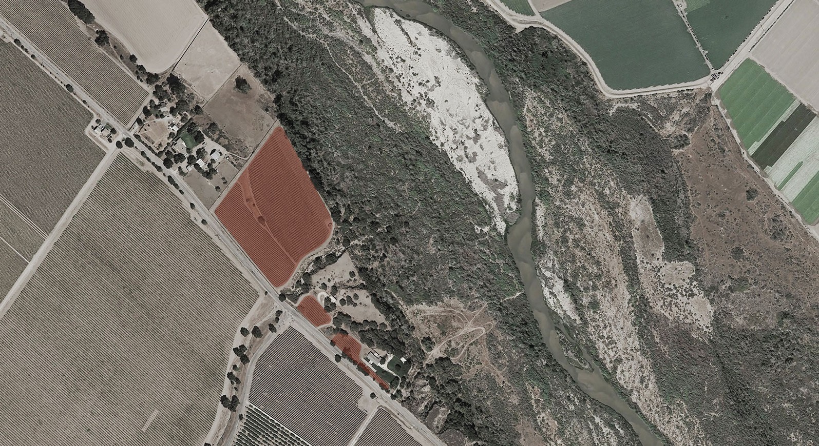 Overhead view of Peterson Vineyard